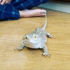 Meet your Posher, Julia